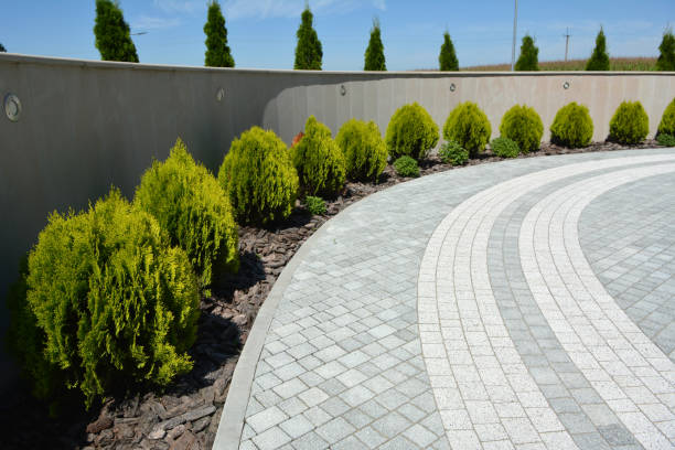 Best Decorative Driveway Pavers  in Park View, IA